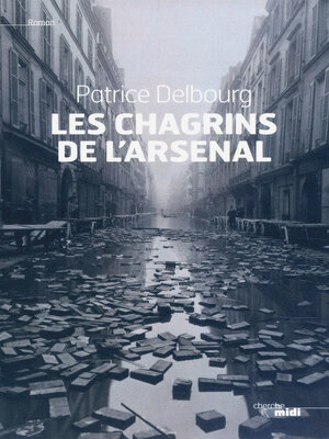 cover image of Les chagrins de l'arsenal